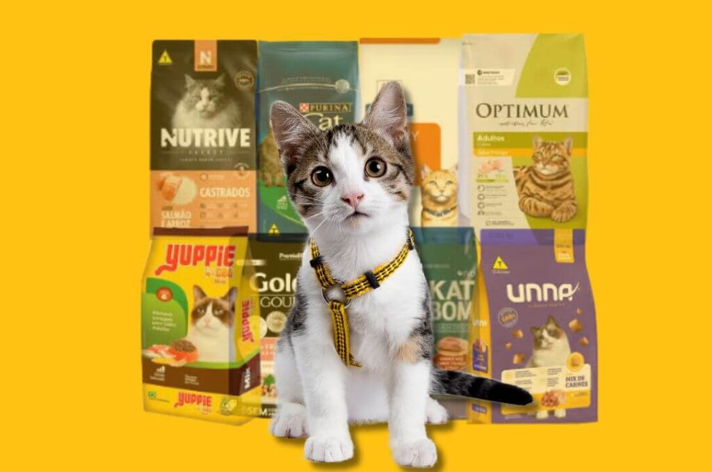 Comida para gato